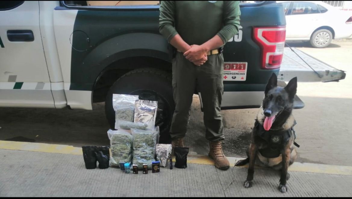 ASEGURAN 23 KILOS DE MARIHUANA