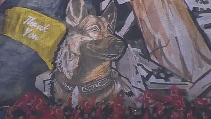 CACHORRO TURCO SE UNIRÁ A BINOMIOS CANINOS DE SEDENA EN HOMENAJE A PROTEO