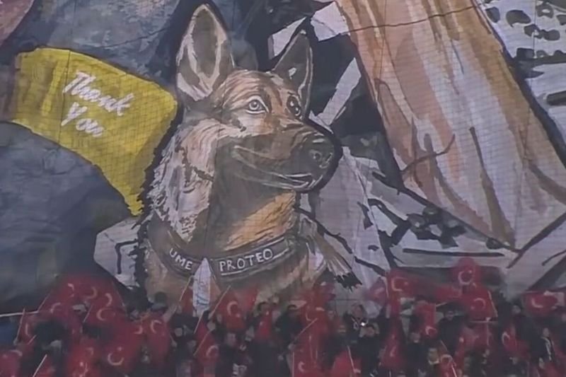 CACHORRO TURCO SE UNIRÁ A BINOMIOS CANINOS DE SEDENA EN HOMENAJE A PROTEO