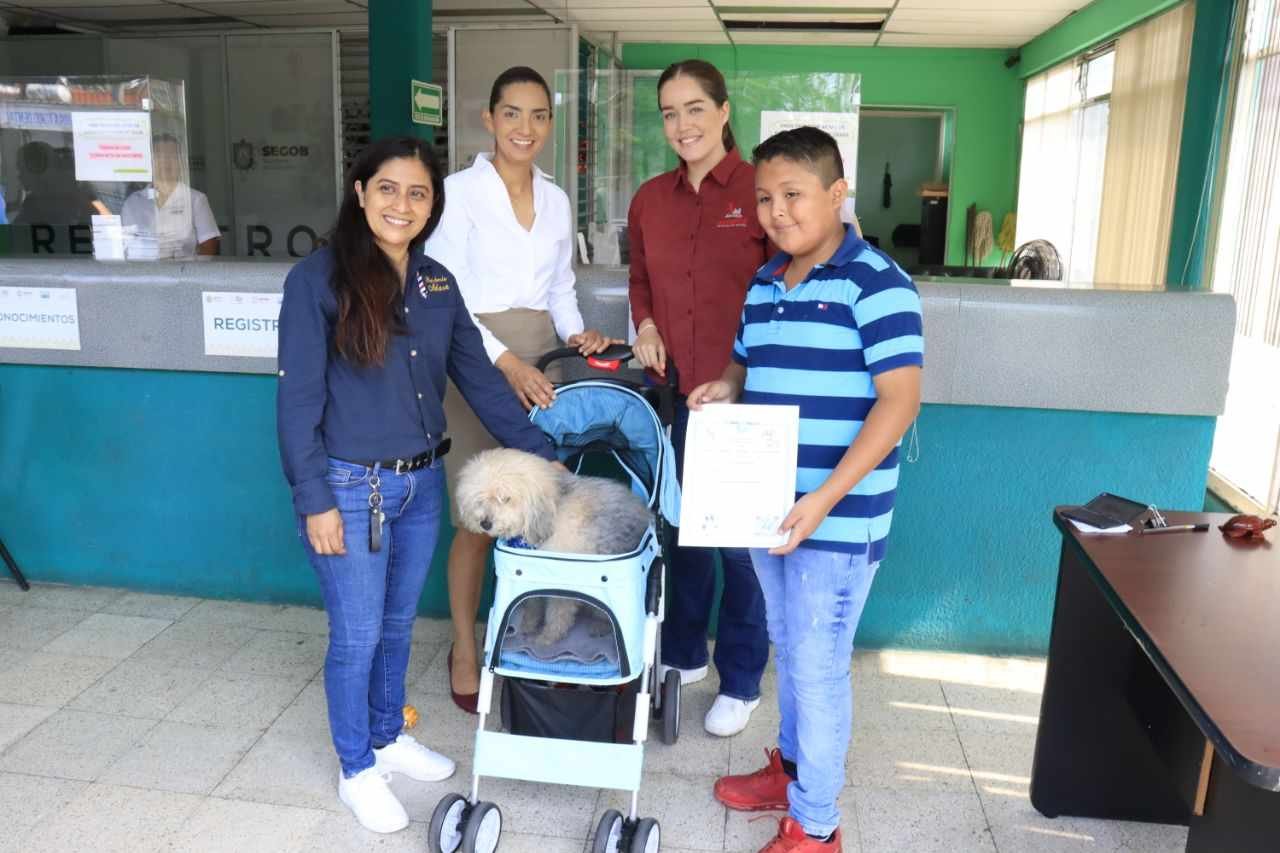 GRAN ÉXITO EN CAMPAÑA DE REGISTRO DE MASCOTAS, 123 MASCOTAS CUENTAN CON IDENTIDAD EN FORTÍN
