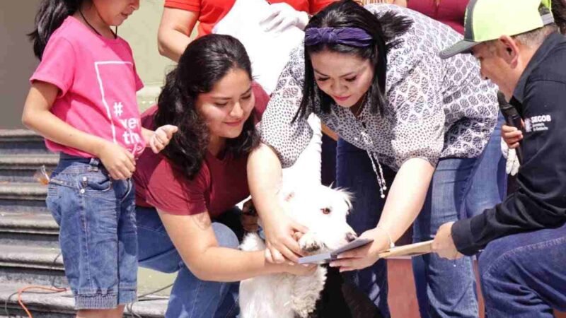 ENTREGAN CONSTANCIAS DE IDENTIDAD DE MASCOTAS