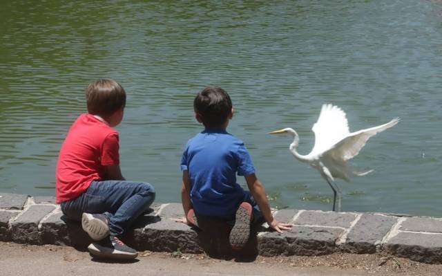 ALERTA POR INCREMENTOS EN CRÍMENES CONTRA LA NIÑEZ EN MÉXICO