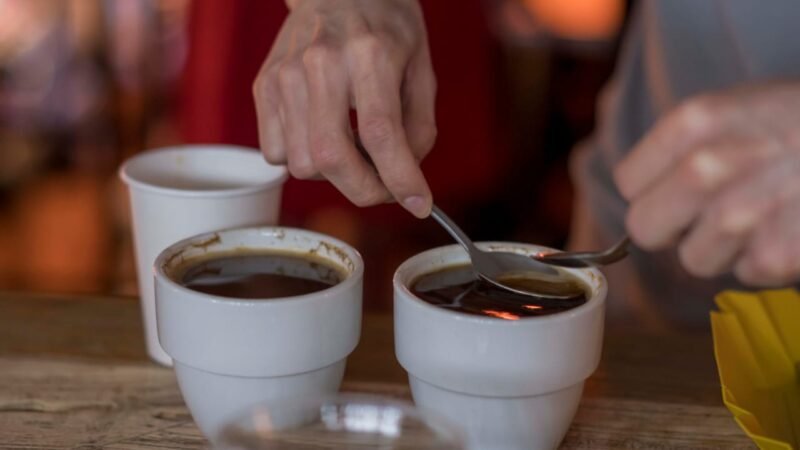 ARRANCA FASE NACIONAL DE CATACIÓN DEL DECIMO CERTAMEN TAZA DE EXCELENCIA
