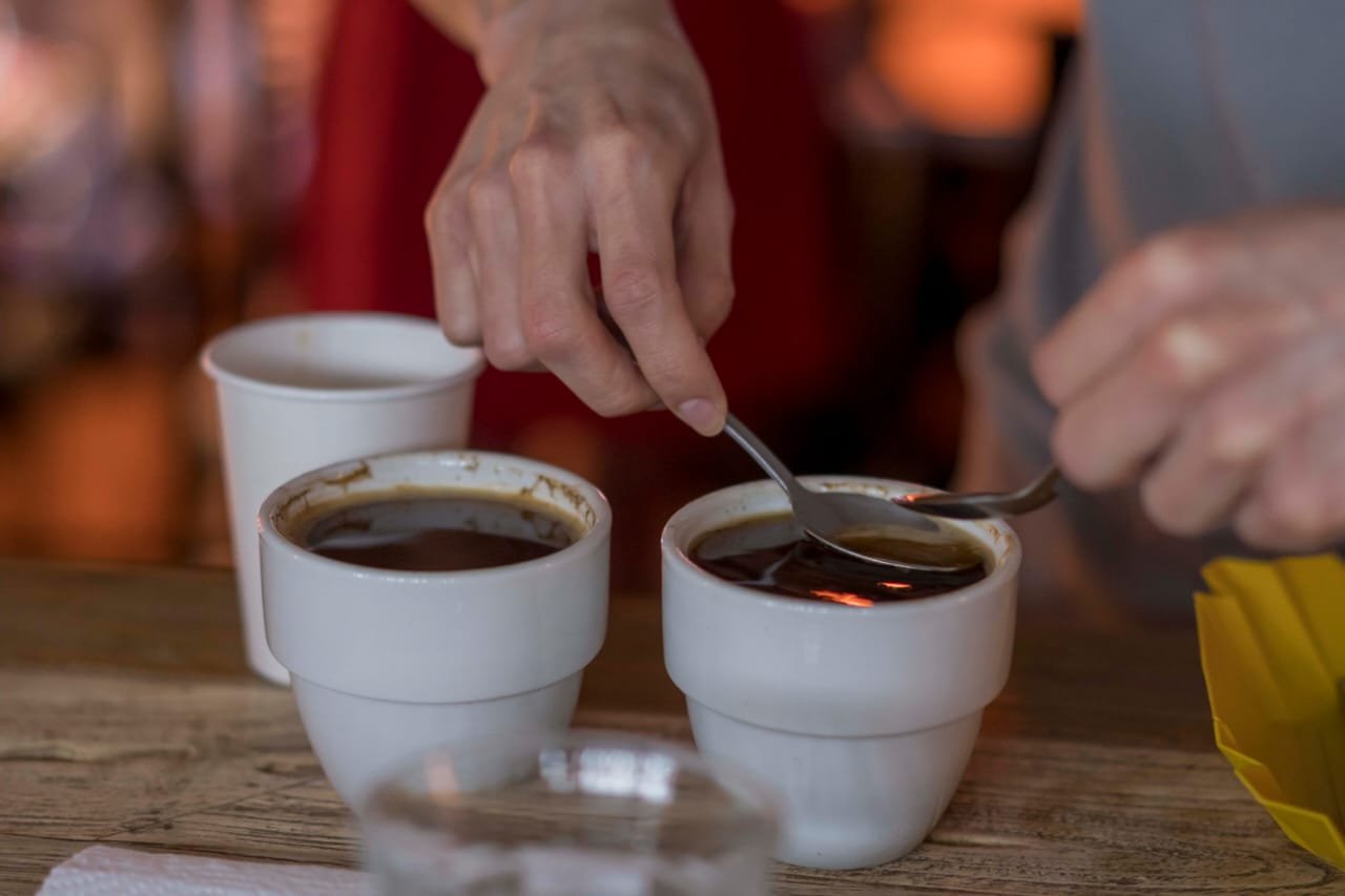 ARRANCA FASE NACIONAL DE CATACIÓN DEL DECIMO CERTAMEN TAZA DE EXCELENCIA