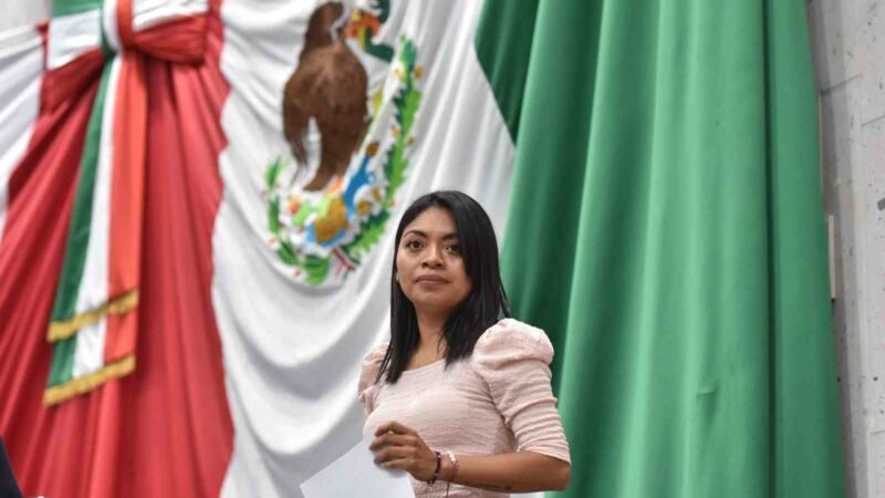 DIPUTADA PROPONE EVITAR USO DE PIROTECNIA