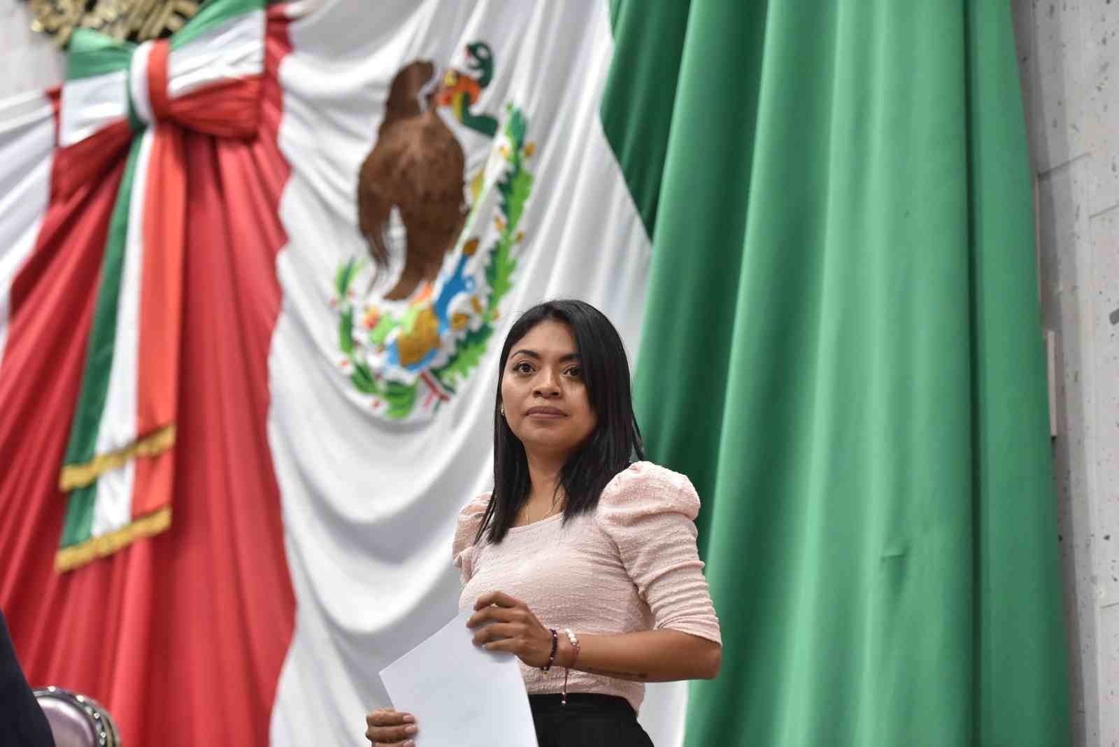 DIPUTADA PROPONE EVITAR USO DE PIROTECNIA