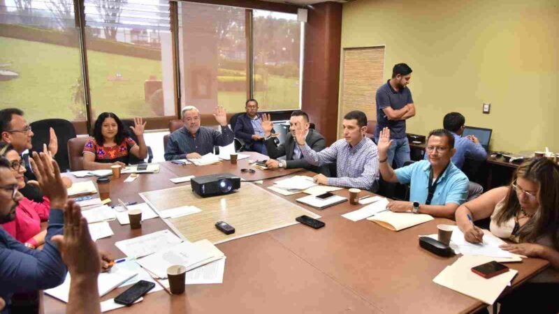 APRUEBAN PROYECTOS DE PROTOCOLOS Y CONVOCATORIAS PARA CONSULTAS