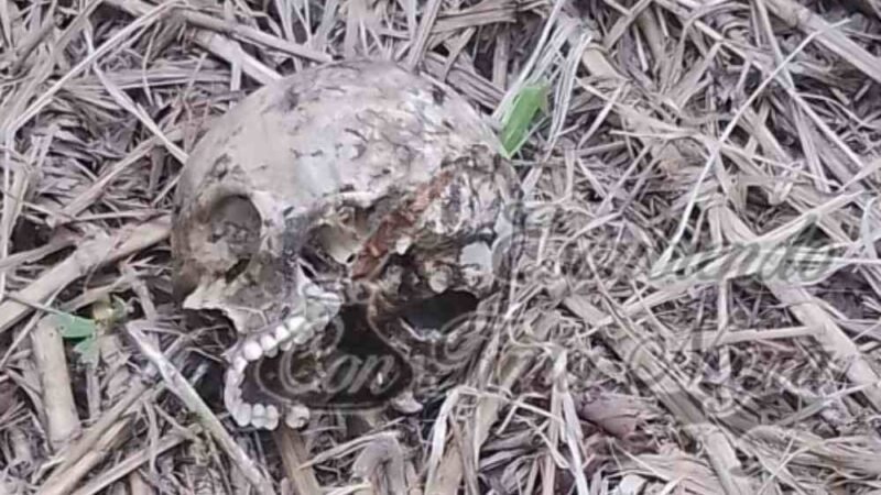 ENCUENTRAN CRANEO EN COSCOMATEPEC