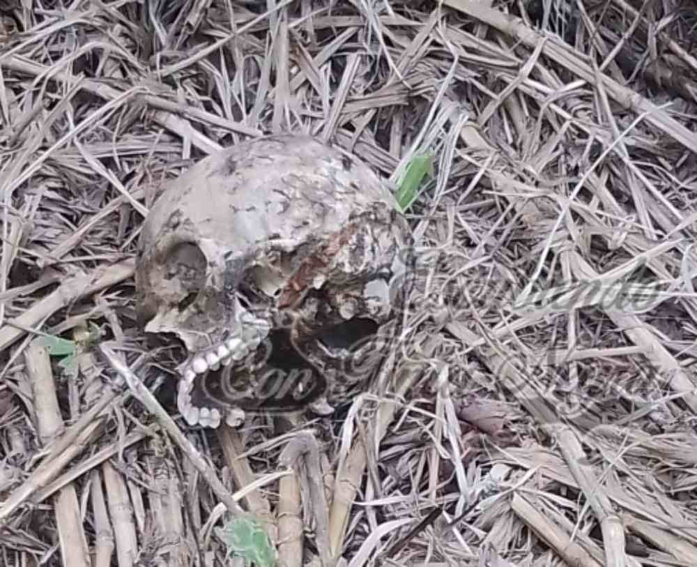 ENCUENTRAN CRANEO EN COSCOMATEPEC