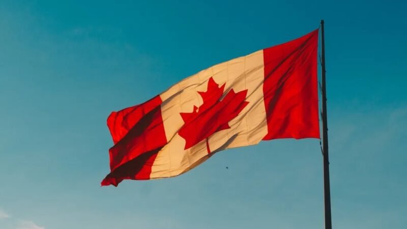 MIGRANTES MEXICANOS DENUNCIAN RED DE ‘ESCLAVOS MODERNOS” EN CANADÁ