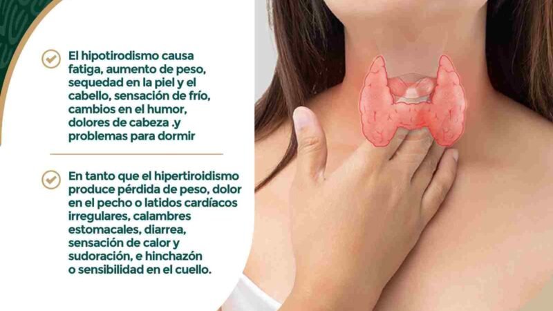 MUJERES, PROPENSAS A PADECER PROBLEMAS DE TIROIDES