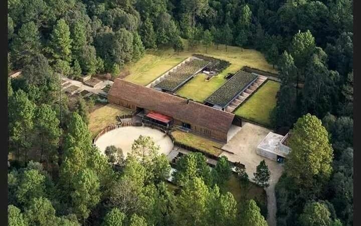 LE QUITAN RANCHO DE 90 HECTÁREAS A JAVIER DUARTE