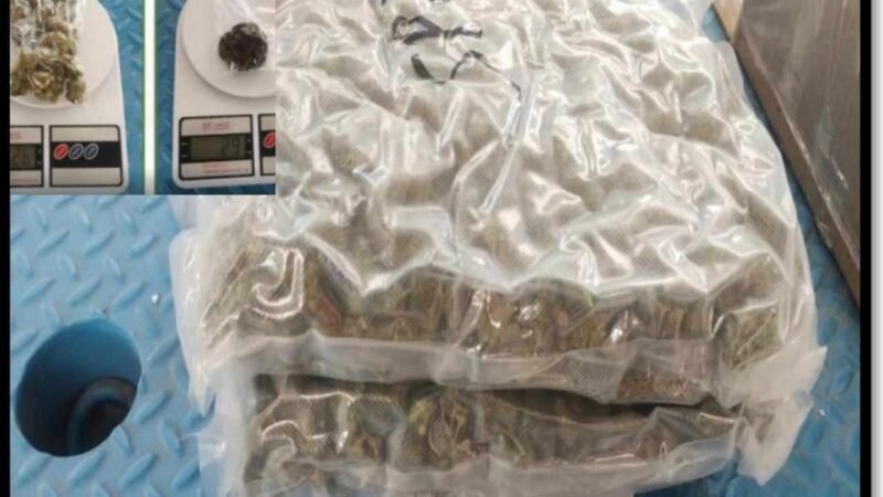 UNIDAD CANINA DETECTA DOS KILOS DE DROGA