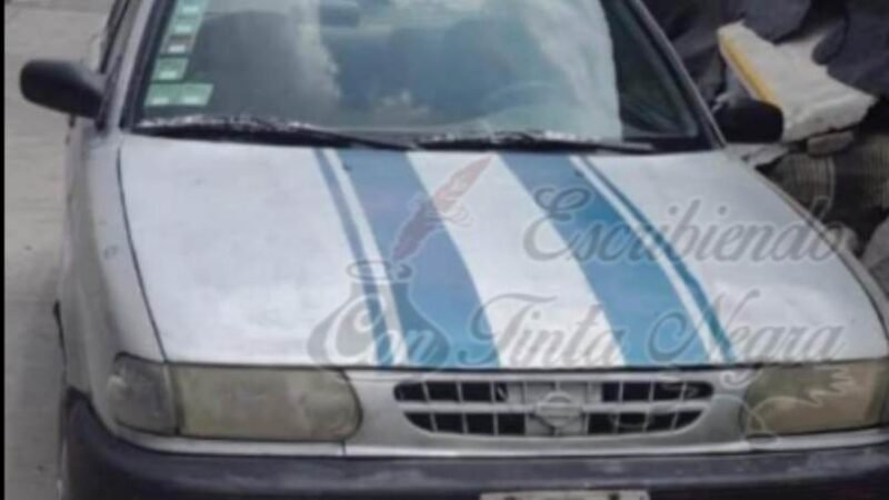 ROBAN TSURU EN COSCOMATEPEC