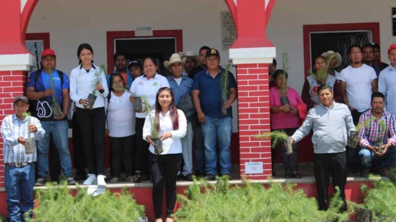 EMPRENDEN REFORESTACIÓN EN CALCAHUALCO