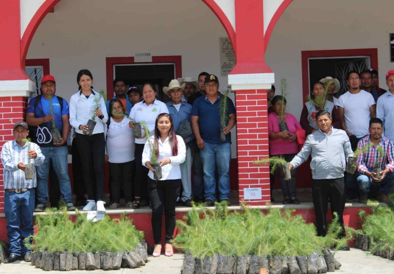 EMPRENDEN REFORESTACIÓN EN CALCAHUALCO