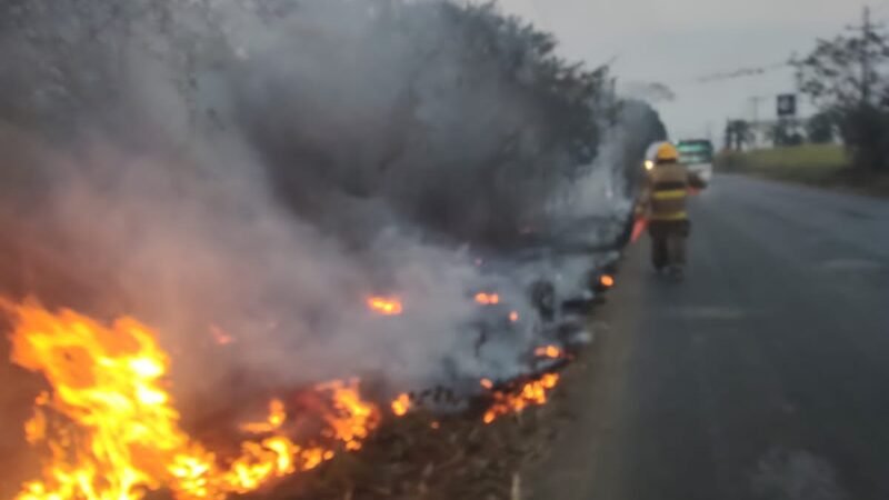 PROHÍBEN QUEMAS AGROPECUARIAS
