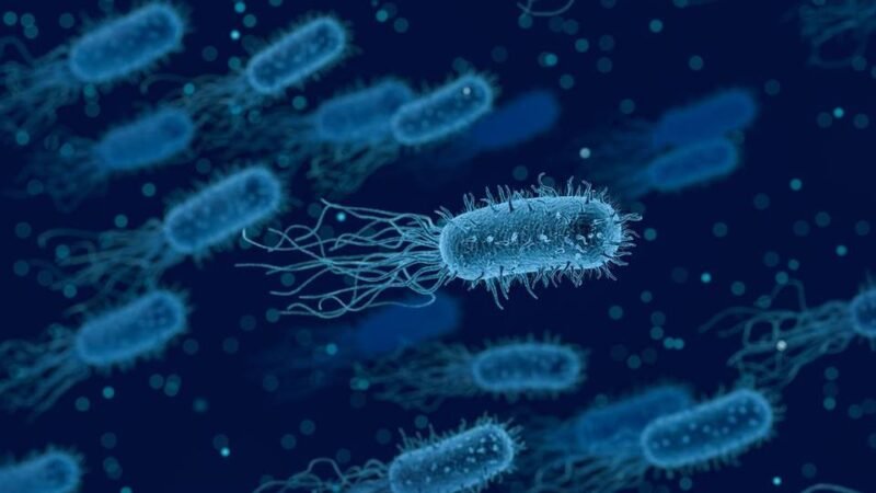 CONFIRMAN LA PRIMERA MUERTE POR MENINGITIS FÚNGICA EN TAMAULIPAS