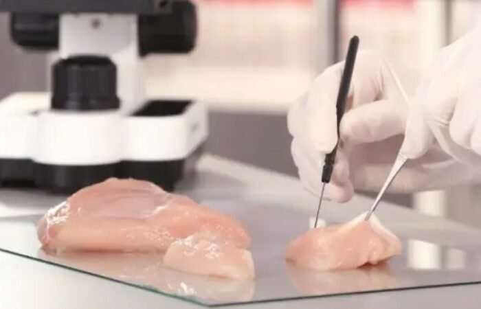 ESTADOS UNIDOS APRUEBA LA VENTA DE POLLO CULTIVADO EN LABORATORIOS