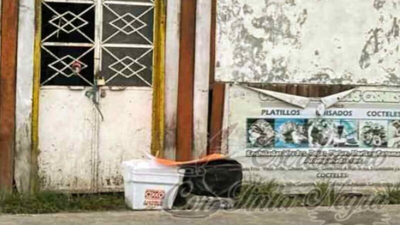 DEJAN RESTOS HUMANOS DENTRO DE HIELERAS