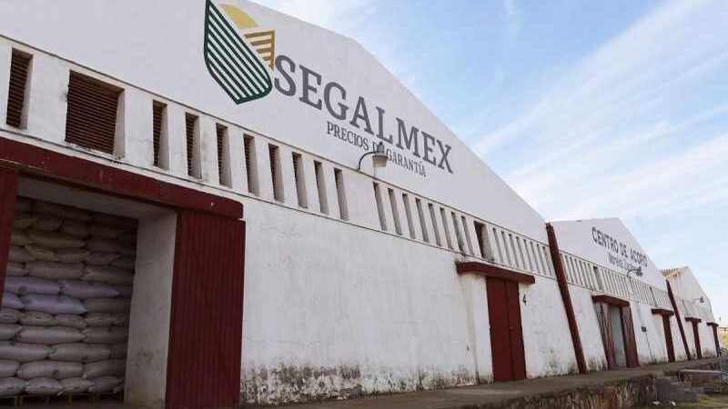 FGR INVESTIGA 100 DENUNCIAS PENALES POR DESFALCO A SEGALMEX