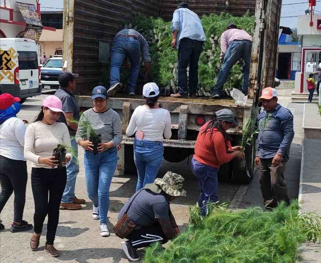 REFORESTARÁN RIVERA DEL JAMAPA