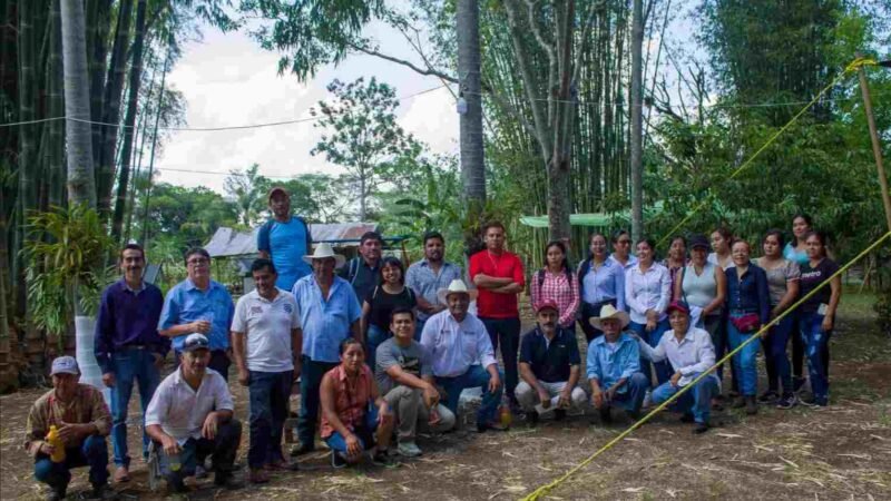 CELEBRAN JORNADA AGROECOLÓGICA; BUSCAN DESARROLLAR LA CAFETICULTURA