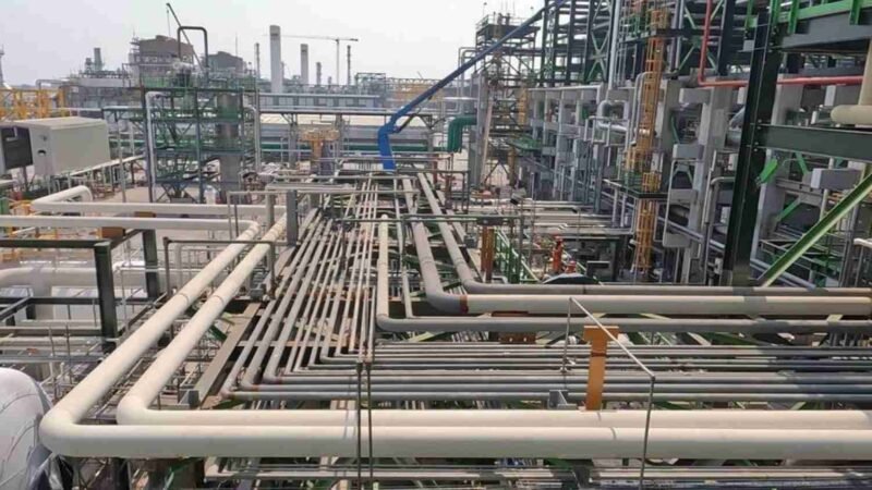 ROCÍO NAHLE ENCAMINA A MÉXICO HACIA LA SOBERANÍA ENERGÉTICA: GÓMEZ CAZARÍN