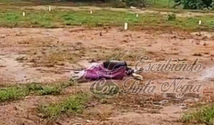 EJECUTADOS Y “ENSABANADOS”