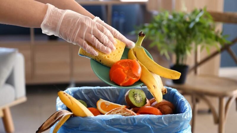 EL 14% DE LA COMIDA DEL MUNDO SE DESPERDICIA: FAO