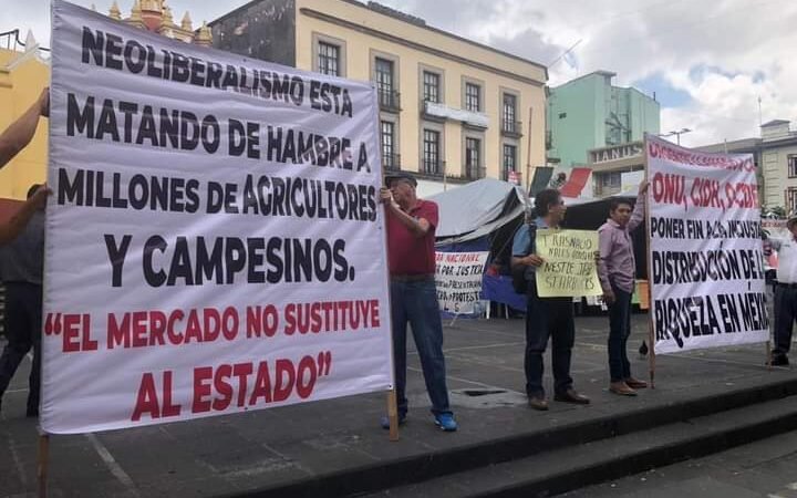 AUGURAN DESPLOME DE PRECIOS DEL CAFÉ
