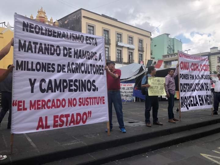 AUGURAN DESPLOME DE PRECIOS DEL CAFÉ