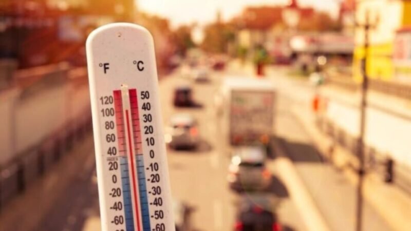 ALERTAN QUE OLAS DE CALOR SEGUIRÁN EN JULIO Y AGOSTO, TRAS RÉCORD DE JUNIO