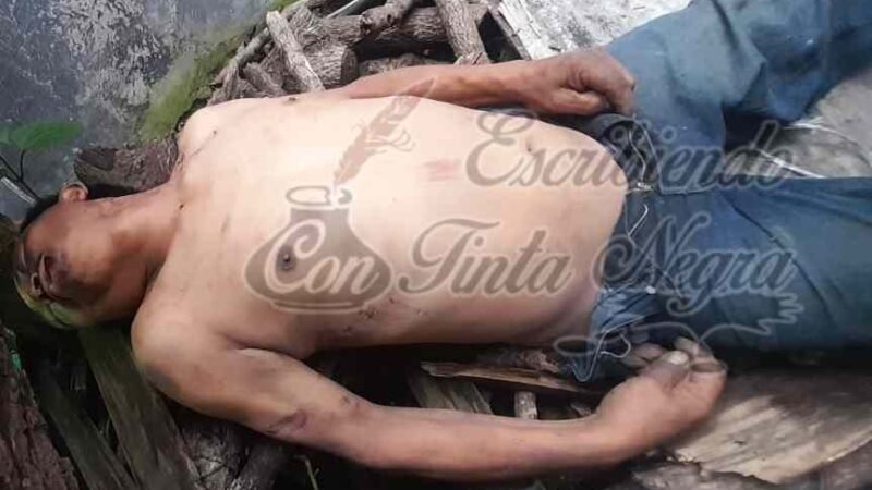 ENCUENTRAN A “ESCUADRÓN” SIN VIDA EN TOTUTLA