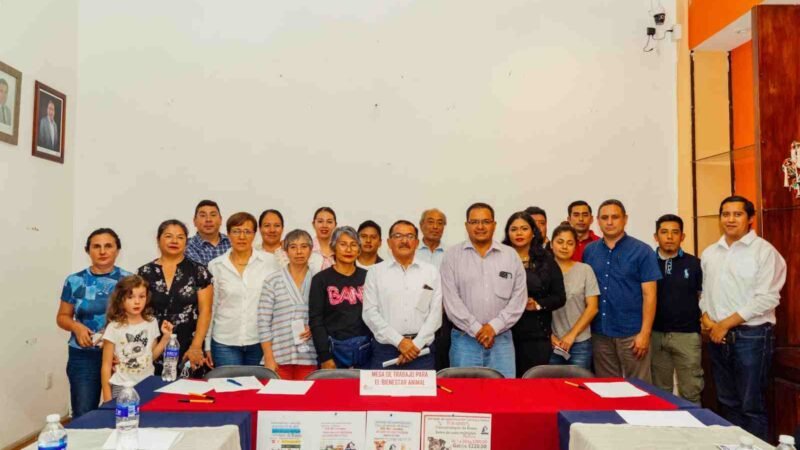 BUSCAN SOLUCIÓN A PROBLEMA DE PERROS CALLEJEROS EN COSCO