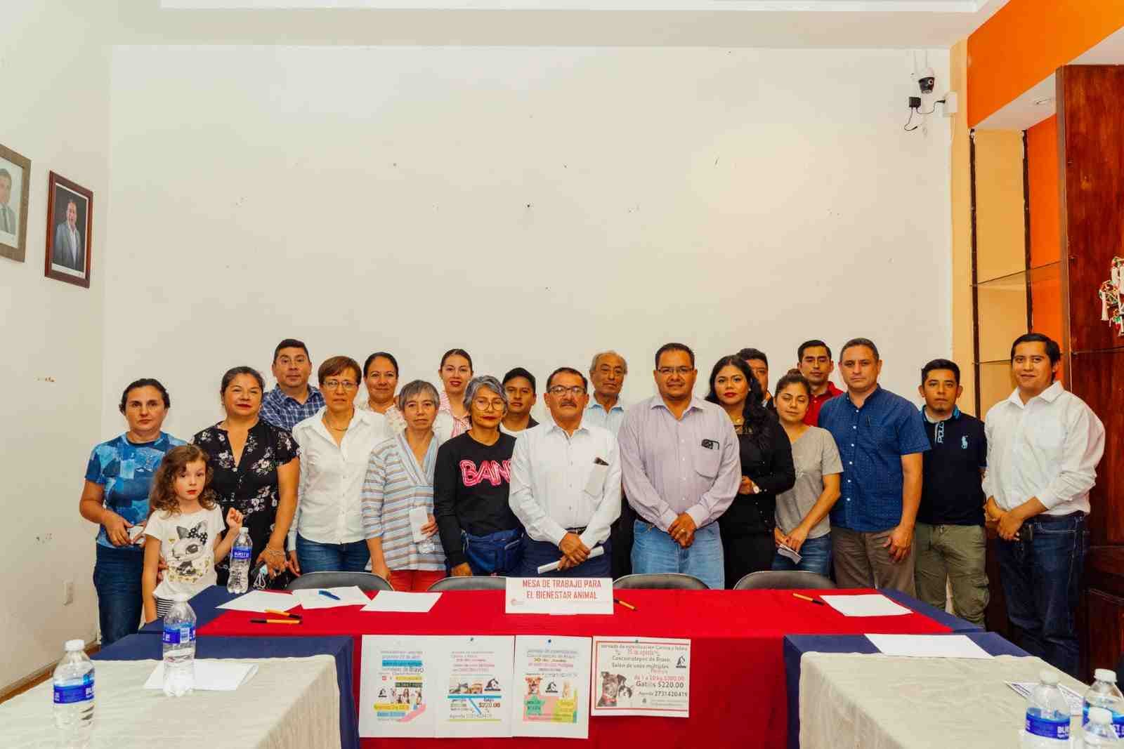 BUSCAN SOLUCIÓN A PROBLEMA DE PERROS CALLEJEROS EN COSCO