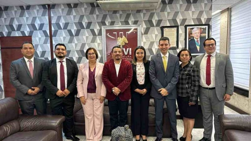 JUAN JAVIER GÓMEZ CAZARÍN Y EL ARTE DE “TEJER FINO” EN EL CONGRESO DE VERACRUZ