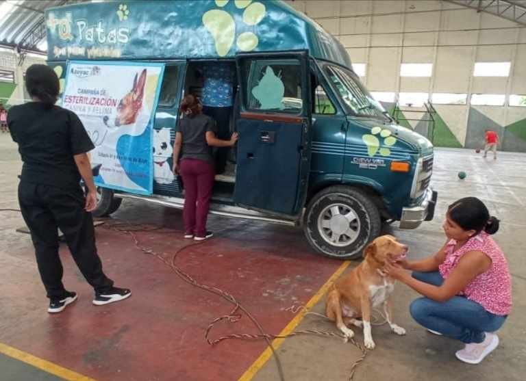 LLEVARÁ AYUNTAMIENTO DE ATOYAC A LA SIERRA CAMPAÑA DE ESTERILIZACIÓN