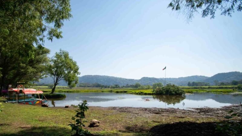 SEMBRARÁ HIDROSISTEMA 250 ÁRBOLES EN CÓRDOBA