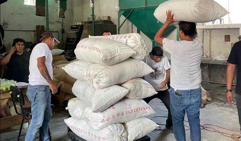 PRODUCTORES DE IXHUATLÁN COLOCAN 164 QUINTALES EN MERCADO JUSTO