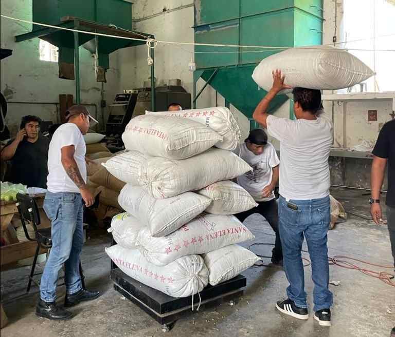 PRODUCTORES DE IXHUATLÁN COLOCAN 164 QUINTALES EN MERCADO JUSTO