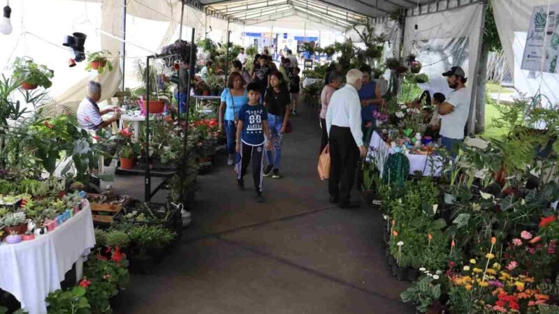 INVITAN FLORICULTORES A EXPO-VENTA EN CONMEMORACIÓN DEL 93 ANIVERSARIO DE FUNDACIÓN DE FORTÍN