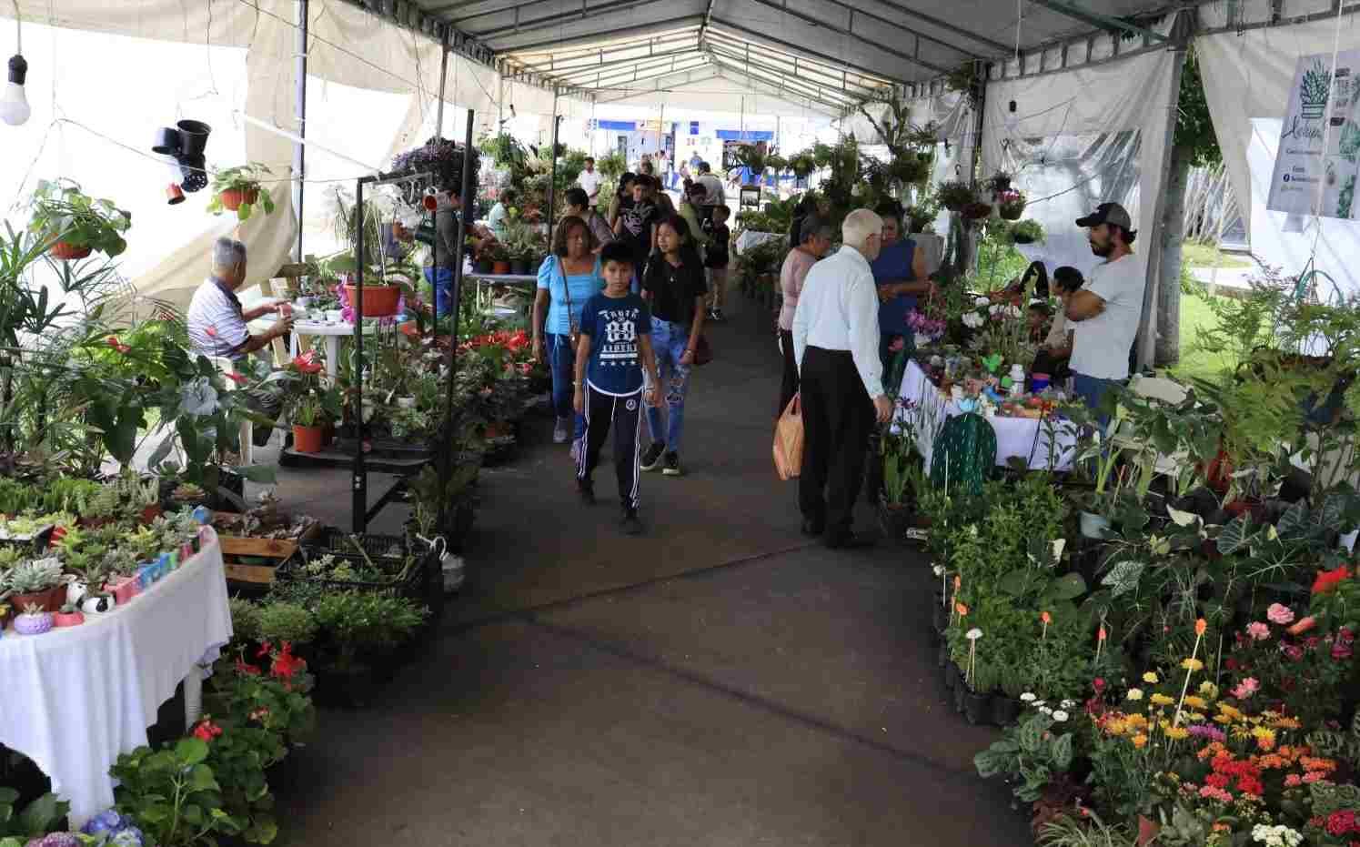 INVITAN FLORICULTORES A EXPO-VENTA EN CONMEMORACIÓN DEL 93 ANIVERSARIO DE FUNDACIÓN DE FORTÍN
