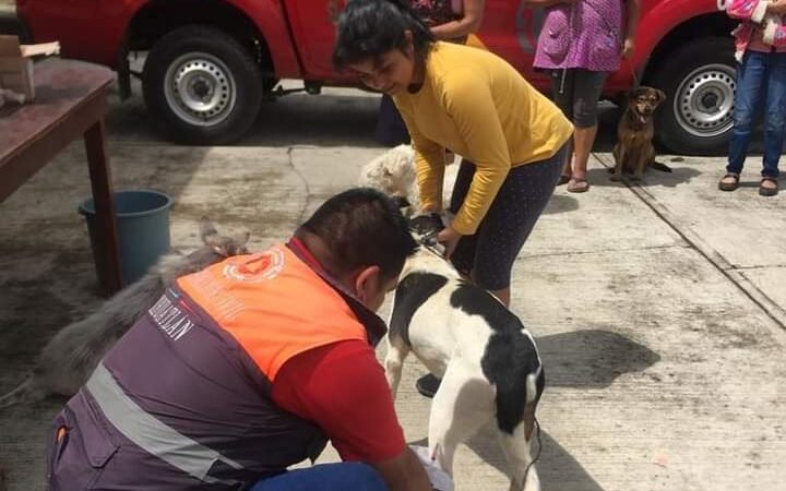 LLEVAN CAMPAÑA DE VACUNACIÓN CONTRA LA RABIA A PRESIDIO