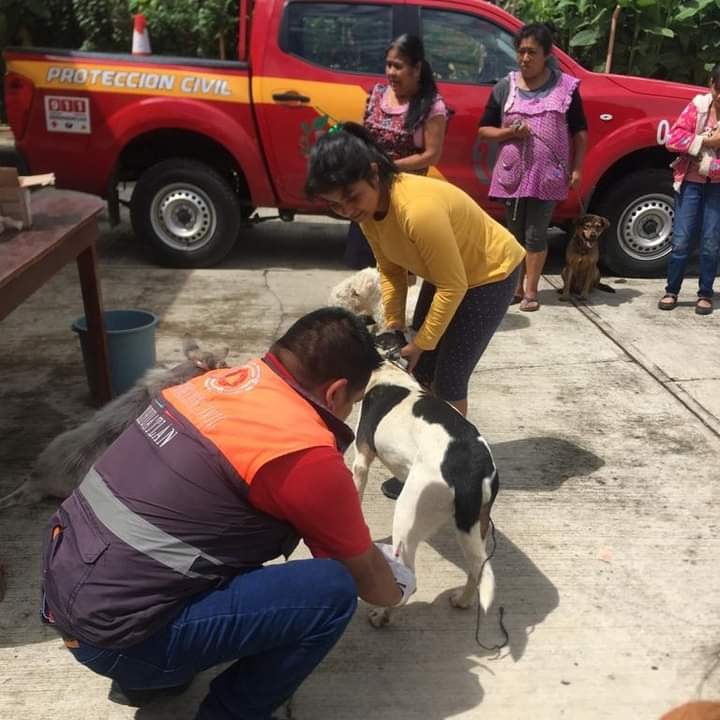 LLEVAN CAMPAÑA DE VACUNACIÓN CONTRA LA RABIA A PRESIDIO