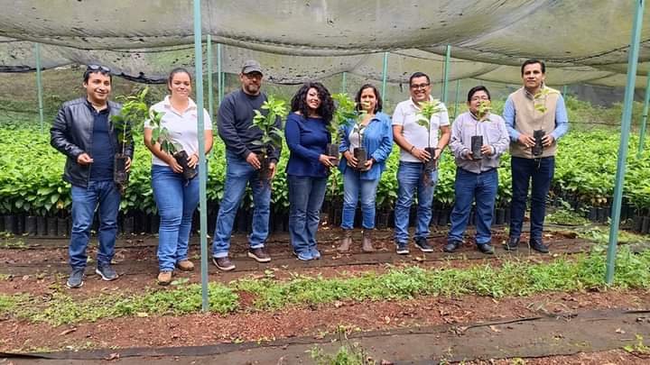 VIVERO DE HUATUSCO SE CONVERTIRÁ EN FÁBRICA DE ÁRBOLES