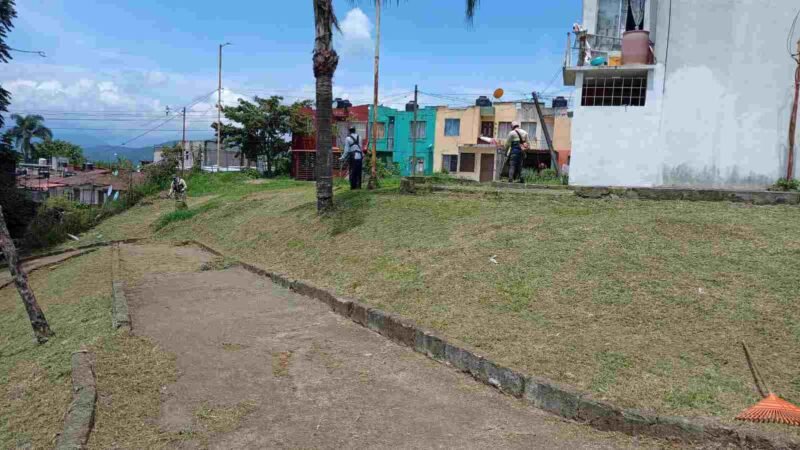 LLEGA LA CAMPAÑA TRANSFORMANDO TU COLONIA AL GRECO