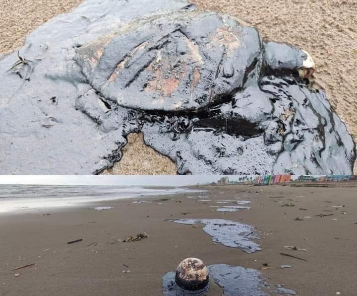 EXIGEN A PEMEX HACERSE RESPONSABLE DE DERRAME DE PETRÓLEO EN SUR DEL ESTADO