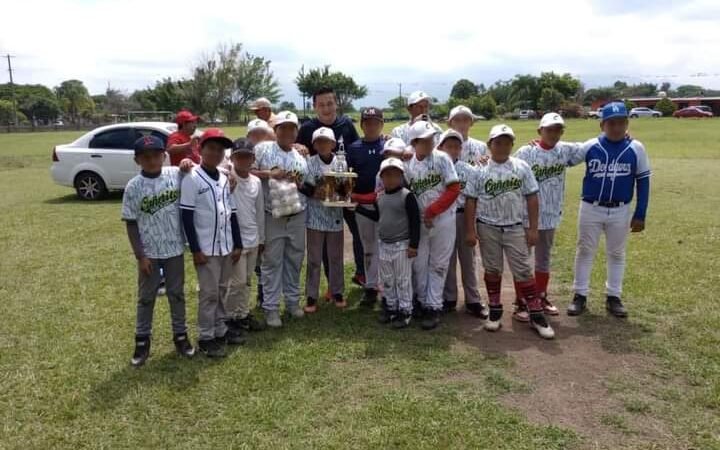 PIÑERITOS, CAMPEÓN DE LA LIGA INFANTIL DE BEISBOL