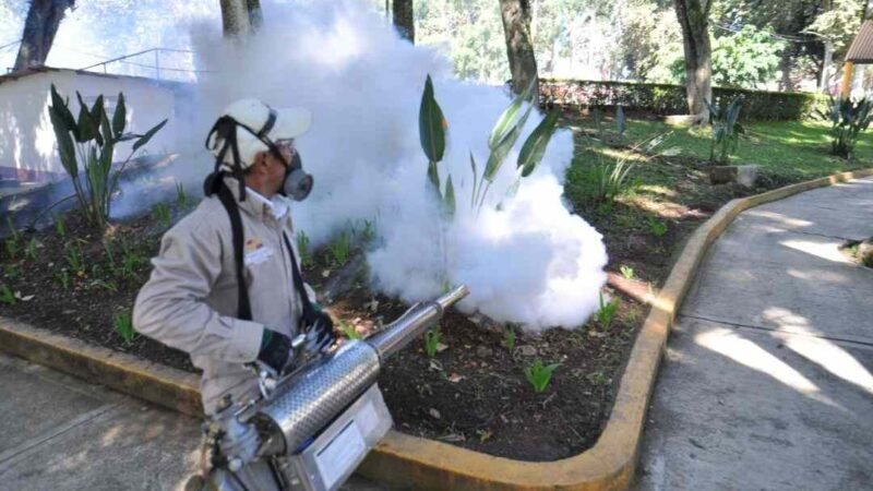 FUMIGAN EN ALAMEDA Y PARQUE DE HUATUSCO